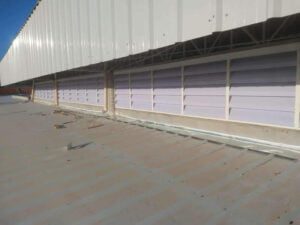 Lanternim Industrial PVC Lanternins Industriais em Brasil A finalidade da imagem de lanternas industriais no Brasil é fornecer uma representação visual dos produtos de iluminação industrial disponíveis no mercado brasileiro. Essas imagens servem para diversos propósitos, incluindo:1. **Demonstrar o Produto:** A imagem permite aos espectadores ver como as lanternas industriais se parecem, incluindo seu design, tamanho e formato. Isso ajuda os potenciais compradores a ter uma ideia clara do produto que estão considerando. 2. **Ilustrar Variedade de Modelos:** As imagens podem mostrar diferentes modelos e tipos de lanternas industriais disponíveis, abrangendo uma variedade de aplicações industriais. Isso ajuda os compradores a escolher o modelo que melhor atenda às suas necessidades específicas. 3. **Contextualizar o Uso:** As imagens podem mostrar as lanternas em uso em ambientes industriais brasileiros, o que permite aos clientes visualizar como esses produtos se encaixam em suas instalações e operações. 4. **Transmitir Qualidade e Durabilidade:** Imagens de lanternas industriais de alta qualidade, bem iluminadas e bem produzidas, comunicam a qualidade e a durabilidade do produto, ajudando a construir a confiança do cliente. 5. **Auxiliar na Tomada de Decisão:** Para compradores em potencial, a imagem ajuda a tomar decisões informadas sobre a compra de lanternas industriais, ajudando a comparar características e aparências visuais. 6. **Marketing e Promoção:** As imagens de lanternas industriais são frequentemente usadas em materiais de marketing, catálogos, sites e apresentações para destacar os produtos e atrair a atenção dos clientes. Em resumo, as imagens de lanternas industriais no Brasil servem como ferramentas visuais essenciais para apresentar, promover e ajudar os clientes a tomar decisões informadas sobre esses produtos de iluminação industrial em um contexto brasileiro específico.